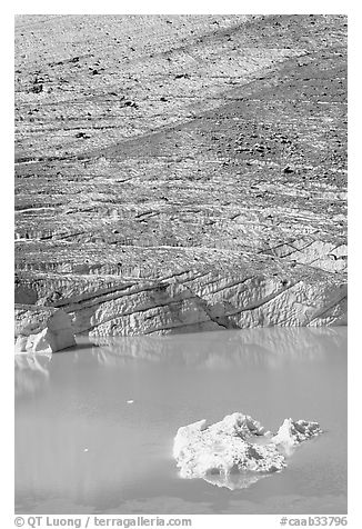 Iceberg, Cavell Pond, and Cavell Glacier. Jasper National Park, Canadian Rockies, Alberta, Canada (black and white)