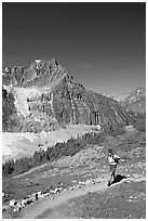 Hiker on a trail below Angel Glacier. Jasper National Park, Canadian Rockies, Alberta, Canada ( black and white)