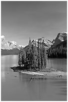 Evergreens on Spirit Island, Maligne Lake, afternoon. Jasper National Park, Canadian Rockies, Alberta, Canada (black and white)
