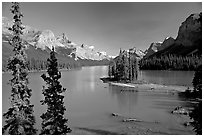 Tiny island with evergreens on  Maligne Lake, afternoon. Jasper National Park, Canadian Rockies, Alberta, Canada (black and white)