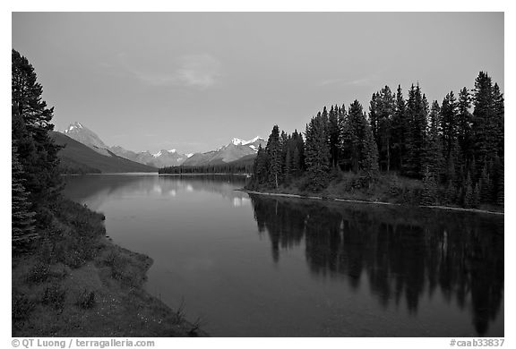 Maligne River outlet, row of evergreens, and  Maligne River, blue dusk. Jasper National Park, Canadian Rockies, Alberta, Canada