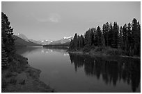 Maligne River outlet, row of evergreens, and  Maligne River, blue dusk. Jasper National Park, Canadian Rockies, Alberta, Canada ( black and white)