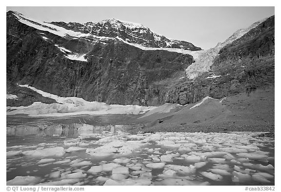 Cavell Pond at the base of Mt Edith Cavell, sunrise. Jasper National Park, Canadian Rockies, Alberta, Canada (black and white)