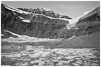 Glacial Pond filled with icebergs below Mt Edith Cavell, sunrise. Jasper National Park, Canadian Rockies, Alberta, Canada (black and white)