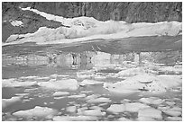 Icebergs in glacial lake and Cavell Glacier. Jasper National Park, Canadian Rockies, Alberta, Canada ( black and white)