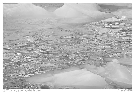 Ice patters and icebergs, Cavell Pond. Jasper National Park, Canadian Rockies, Alberta, Canada