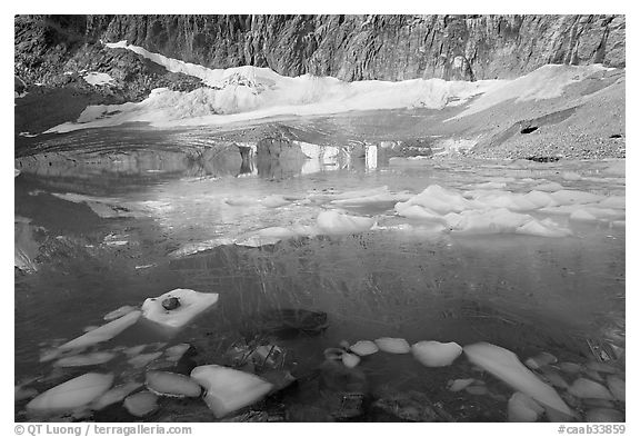 Icebergs, reflections, and Cavell Glacier. Jasper National Park, Canadian Rockies, Alberta, Canada (black and white)