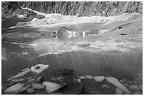 Icebergs, reflections, and Cavell Glacier. Jasper National Park, Canadian Rockies, Alberta, Canada ( black and white)