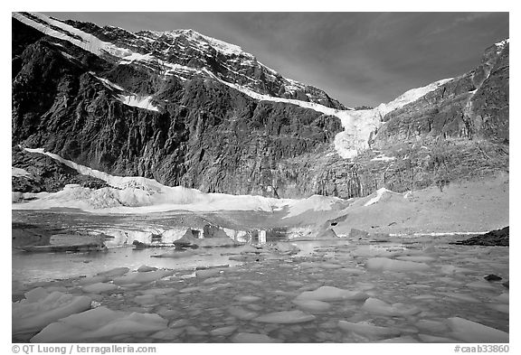 Icebergs and Cavell Pond at the base of Mt Edith Cavell, early morning. Jasper National Park, Canadian Rockies, Alberta, Canada (black and white)