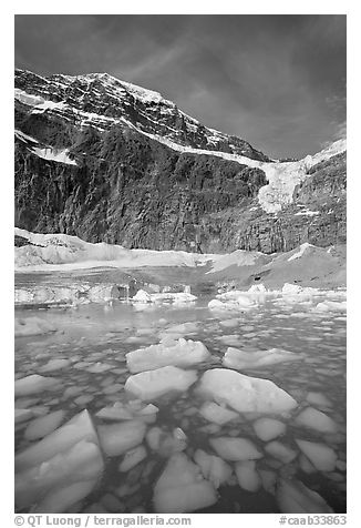 Iceberg-filled  Glacial Pond, and steep face of Mt Edith Cavell, early morning. Jasper National Park, Canadian Rockies, Alberta, Canada (black and white)