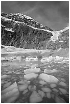 Iceberg-filled  Glacial Pond, and steep face of Mt Edith Cavell, early morning. Jasper National Park, Canadian Rockies, Alberta, Canada (black and white)