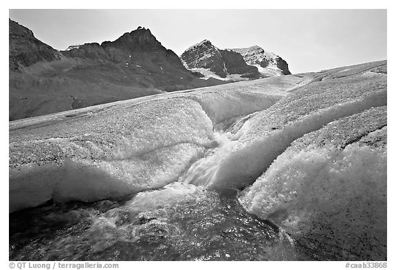 Glacial stream at the toe of Athabasca Glacier. Jasper National Park, Canadian Rockies, Alberta, Canada (black and white)