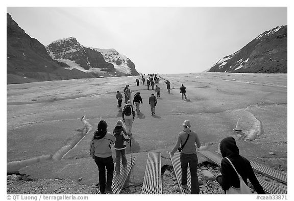 Tourists walking onto  Athabasca Glacier. Jasper National Park, Canadian Rockies, Alberta, Canada (black and white)