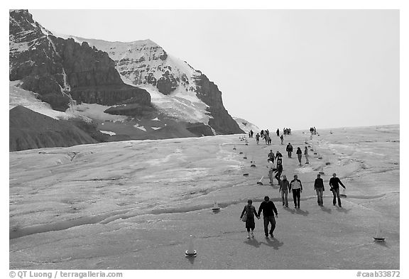 Tourists in a marked area of Athabasca Glacier. Jasper National Park, Canadian Rockies, Alberta, Canada (black and white)