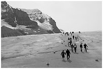 Tourists in a marked area of Athabasca Glacier. Jasper National Park, Canadian Rockies, Alberta, Canada ( black and white)