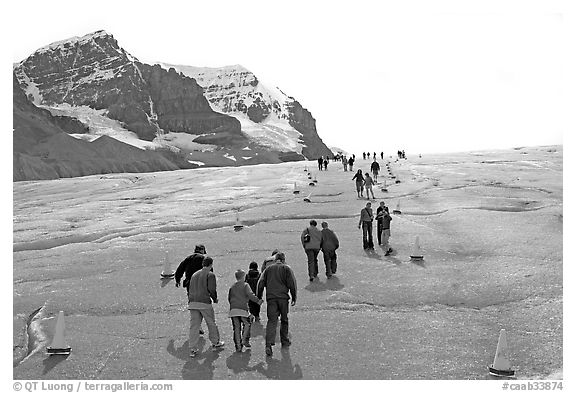 Tourists and families on Athabasca Glacier. Jasper National Park, Canadian Rockies, Alberta, Canada (black and white)