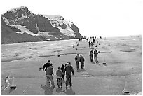 Tourists and families on Athabasca Glacier. Jasper National Park, Canadian Rockies, Alberta, Canada ( black and white)