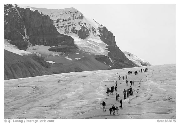 People amongst glacier and peaks, Columbia Icefield. Jasper National Park, Canadian Rockies, Alberta, Canada (black and white)