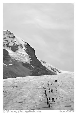 Athabasca Glacier with people in delimited area. Jasper National Park, Canadian Rockies, Alberta, Canada (black and white)