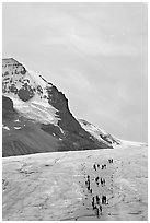 Athabasca Glacier with people in delimited area. Jasper National Park, Canadian Rockies, Alberta, Canada ( black and white)