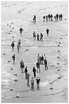 People in delimited area, Athabasca Glacier. Jasper National Park, Canadian Rockies, Alberta, Canada ( black and white)
