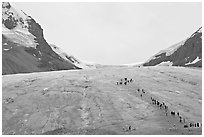 Toe of Athabasca Glacier with tourists in delimited area. Jasper National Park, Canadian Rockies, Alberta, Canada ( black and white)
