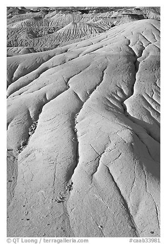 Patterns of mudstone erosion, Dinosaur Provincial Park. Alberta, Canada (black and white)