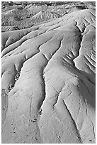Patterns of mudstone erosion, Dinosaur Provincial Park. Alberta, Canada ( black and white)