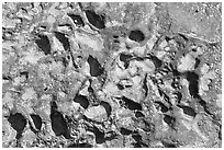 Alveoles in rock, Dinosaur Provincial Park. Alberta, Canada (black and white)