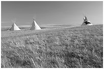 Teepees and tall grass prairie, Head-Smashed-In Buffalo Jump. Alberta, Canada (black and white)