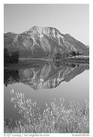 Vimy Peak and reflection in Middle Waterton Lake, sunrise. Waterton Lakes National Park, Alberta, Canada (black and white)
