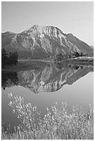 Vimy Peak and reflection in Middle Waterton Lake, sunrise. Waterton Lakes National Park, Alberta, Canada ( black and white)