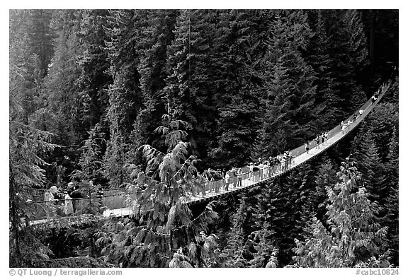 Capilano suspension bridge with tourists. Vancouver, British Columbia, Canada (black and white)