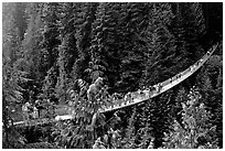 Capilano suspension bridge with tourists. Vancouver, British Columbia, Canada (black and white)