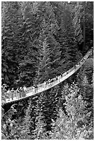 Capilano suspension bridge with tourists. Vancouver, British Columbia, Canada ( black and white)