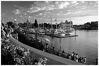 Flowers and Inner Harbour at sunset. Victoria, British Columbia, Canada (black and white)