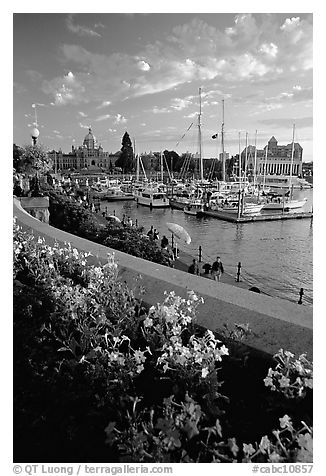 Flowers and Inner Harbour at sunset. Victoria, British Columbia, Canada (black and white)