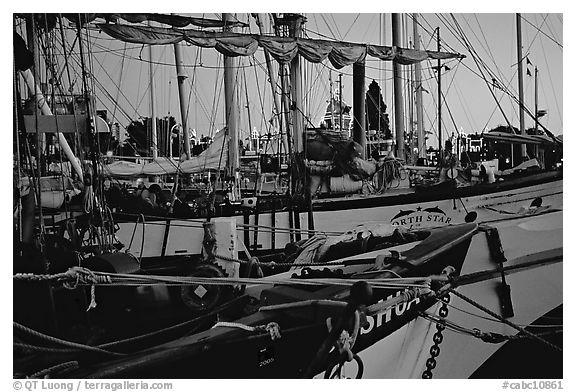 Sailboats with lights of the legislature appearing between masts. Victoria, British Columbia, Canada