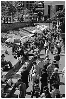 Tourists and art exhibitors on the quay of inner harbour. Victoria, British Columbia, Canada ( black and white)