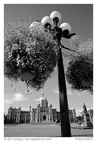 Baskets of flowers suspended from lamp post with parliament in the background. Victoria, British Columbia, Canada (black and white)