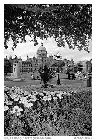 Legislature and horse carriage framed by leaves and flowers. Victoria, British Columbia, Canada (black and white)