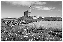 Flowers and Fisgard Lighthouse. Victoria, British Columbia, Canada ( black and white)