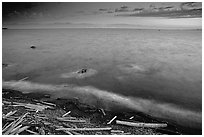 Beach with driftwood, and Olympic Mountains across the Juan de Fuca Strait. Victoria, British Columbia, Canada ( black and white)