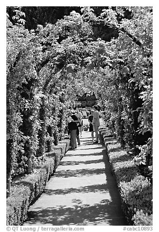 Arbour and path in Rose Garden. Butchart Gardens, Victoria, British Columbia, Canada (black and white)