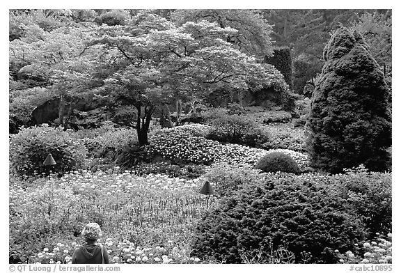 Tourist looking at flowers and trees in the Sunken Garden. Butchart Gardens, Victoria, British Columbia, Canada (black and white)