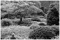 Tourist looking at flowers and trees in the Sunken Garden. Butchart Gardens, Victoria, British Columbia, Canada ( black and white)