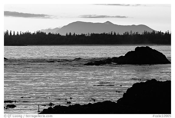 Rocks, tree line, and mountains from Half-moon bay, late afternoon. Pacific Rim National Park, Vancouver Island, British Columbia, Canada (black and white)