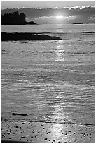 Sunset, Half-moon bay. Pacific Rim National Park, Vancouver Island, British Columbia, Canada ( black and white)