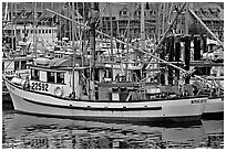 Fishing boat in harbour, Uclulet. Vancouver Island, British Columbia, Canada ( black and white)