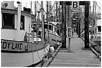 Fishing boats docked, Uclulet. Vancouver Island, British Columbia, Canada ( black and white)